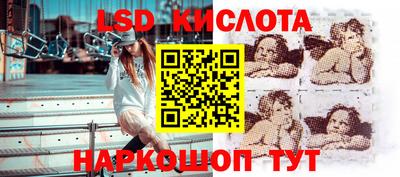 СК Краснодар