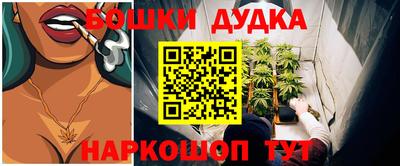 СК Краснодар