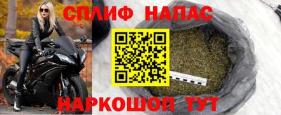 СК Краснодар