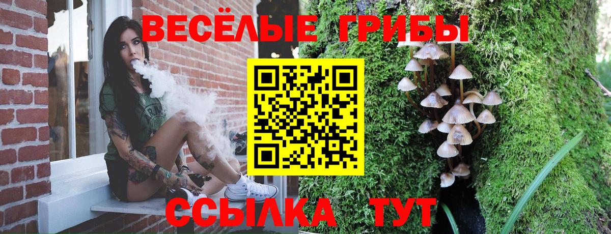 Галлюциногенные грибы мухоморы Киселёвск