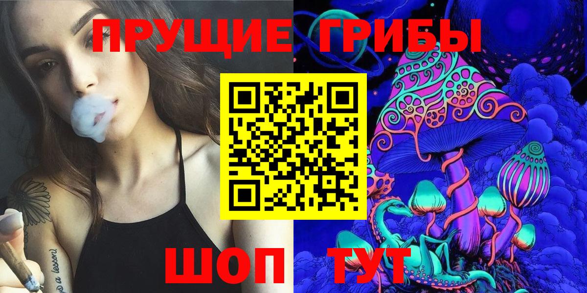 Киселёвск  Галлюциногенные грибы ЛСД  Галлюциногенные грибы Cubensis  Вход с VPN 